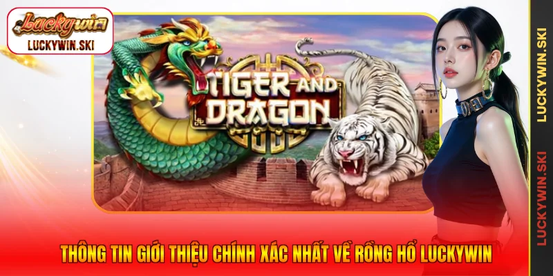 Thông tin giới thiệu chính xác nhất về Rồng Hổ Luckywin